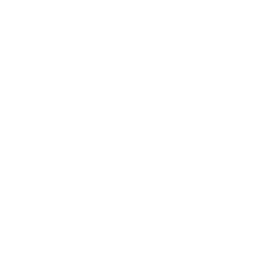 logo_whatsapp