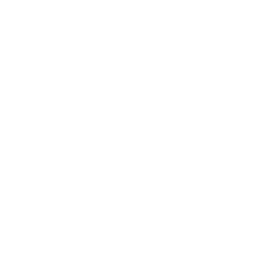 logo_youtube_footer